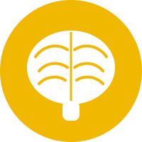 Governance icon